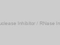 Ribunuclease Inhibitor / RNase Inhibitor